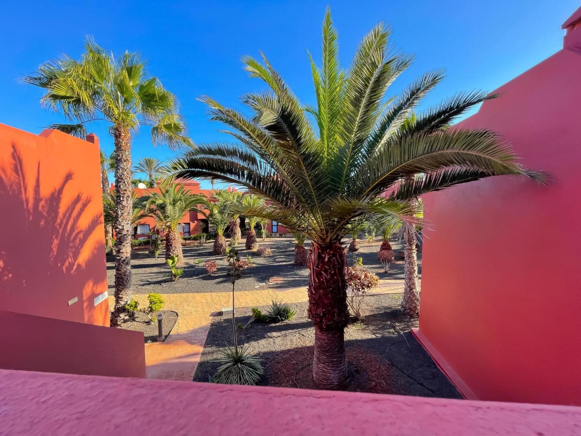 Oasis Tamarindo By Best Holidays Fuerteventura Corralejo Cameră foto